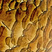 Tortoise Shell Vases - Hand Blown Glass